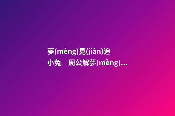 夢(mèng)見(jiàn)追小兔　周公解夢(mèng)之夢(mèng)到追小兔